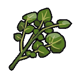 Herba animation