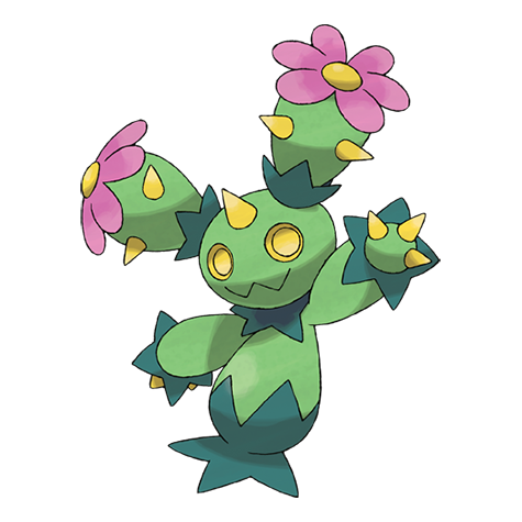 Artwork Maractus