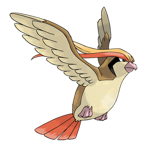 Artwork Pidgeot