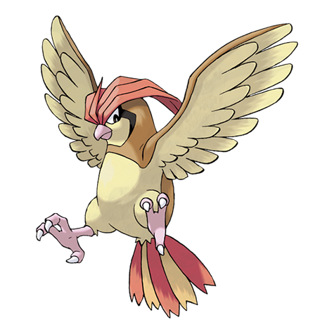 Artwork Pidgeotto