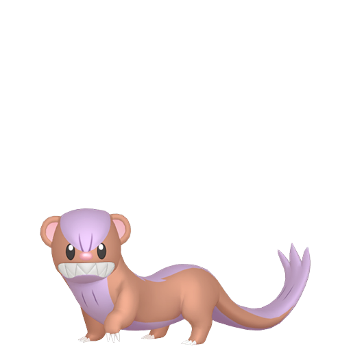 Schillernd Mangunior